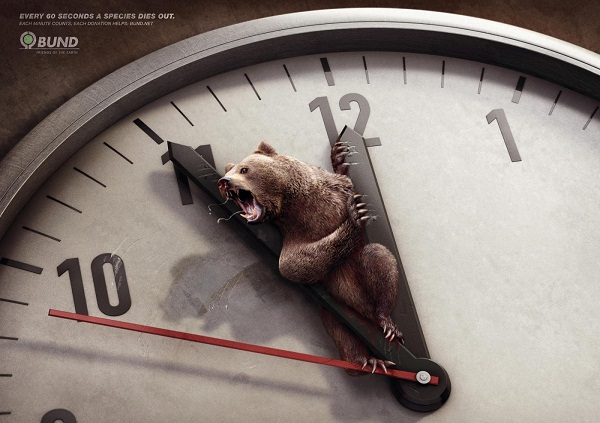 保护动物公益广告 每一分每一秒他们都在消亡