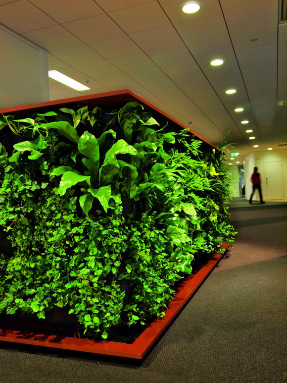 整洁的办公环境 办公室绿化设计