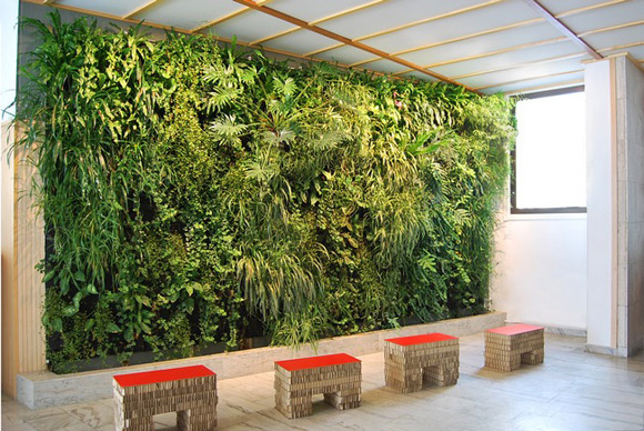 整洁的办公环境 办公室绿化设计