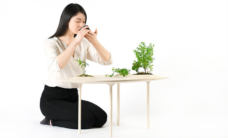 你会爱上了这个可以养植物的茶桌 创意家居 第2张